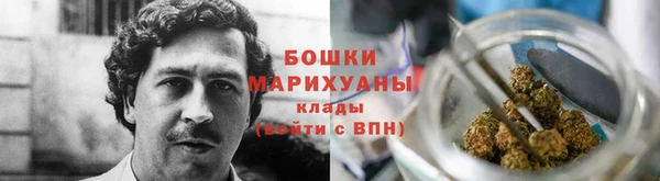 молекула духа Семилуки