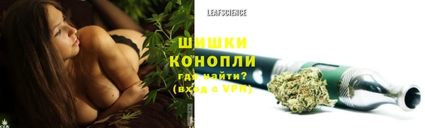 молекула духа Семилуки
