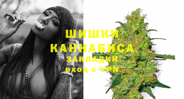 молекула духа Семилуки