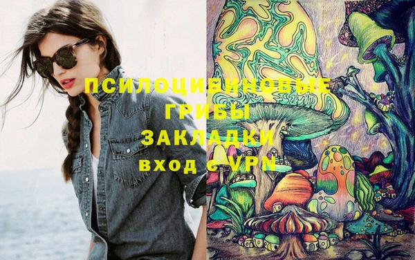 синтетический гашиш Алексеевка