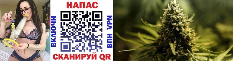 где найти наркотики  Ветлуга  Каннабис LSD WEED 